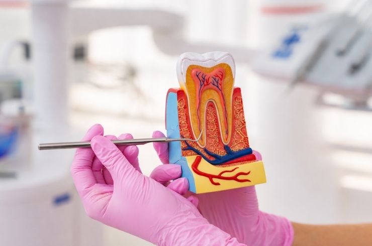 Your Dentist Dental Hospital